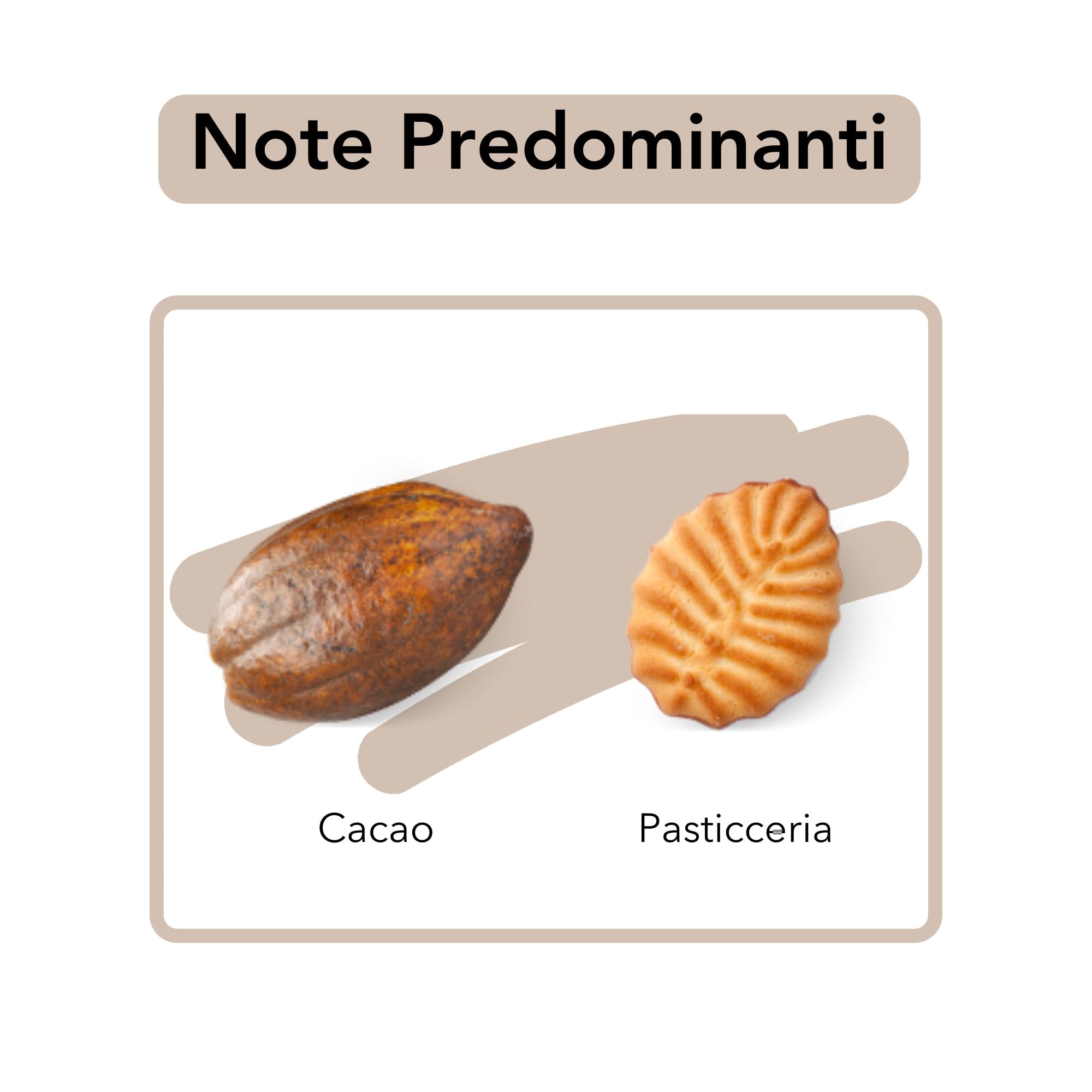 caff-musetti-intenso-10-capsule-alluminio-compatibili-nespresso-intensit-5-5 image 4