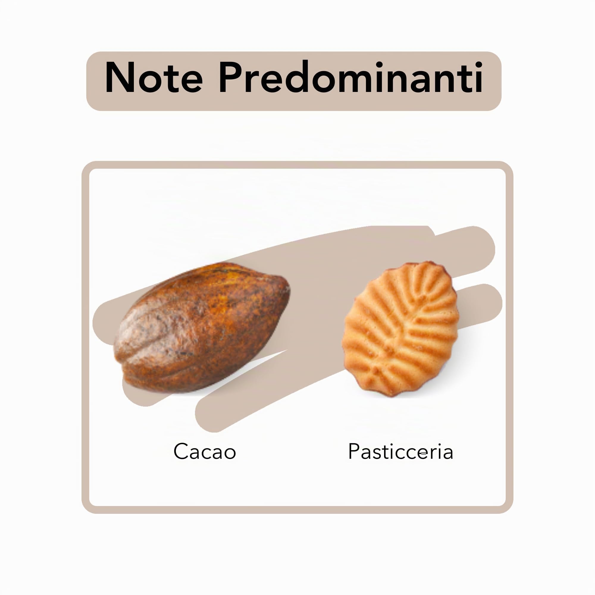caff-musetti-miscela-intenso-caff-in-grani-1-kg-intensit-5-5 image 4