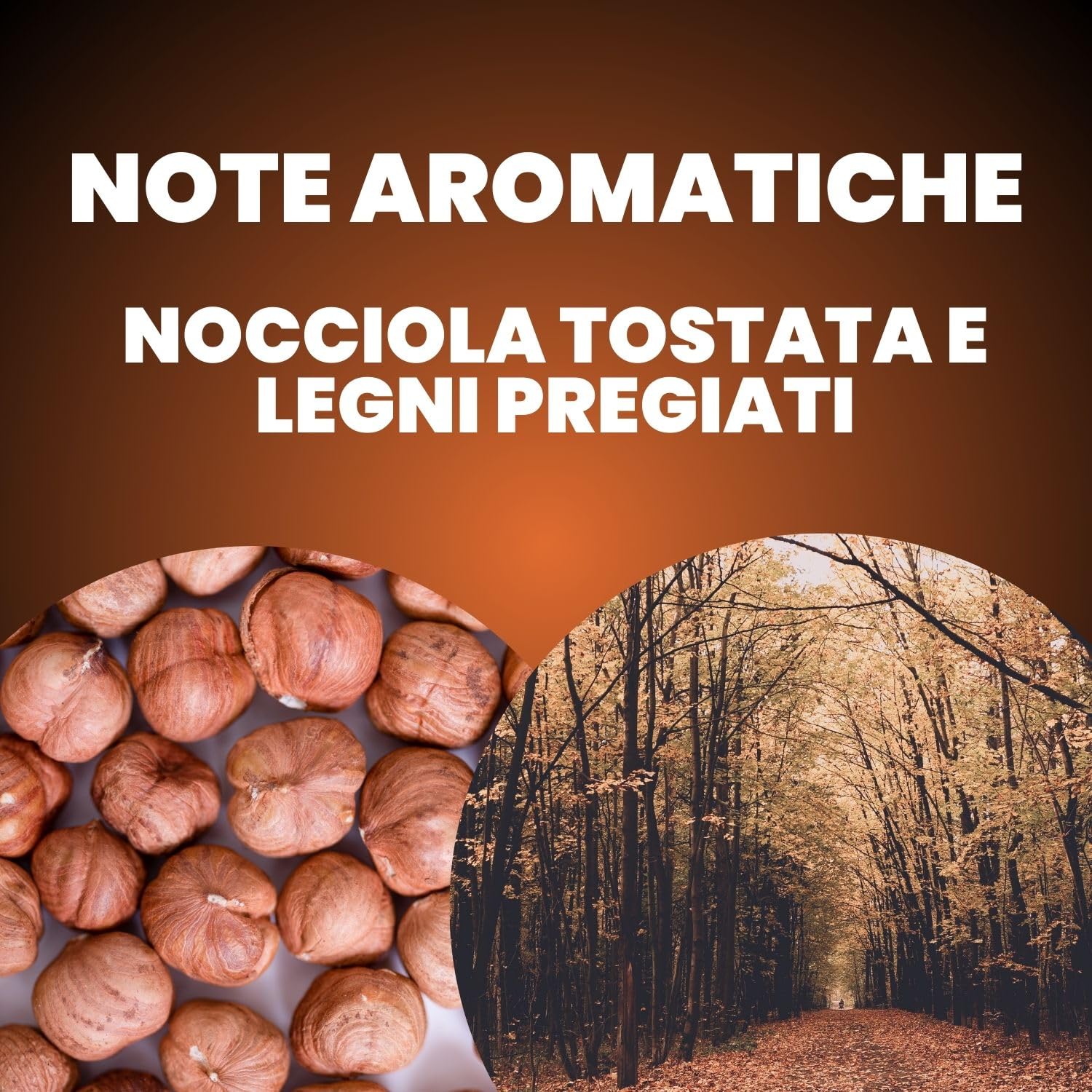 caff-motta-espresso-cremoso-cialde-ese-44-mm-compostabili-da-150 image 8