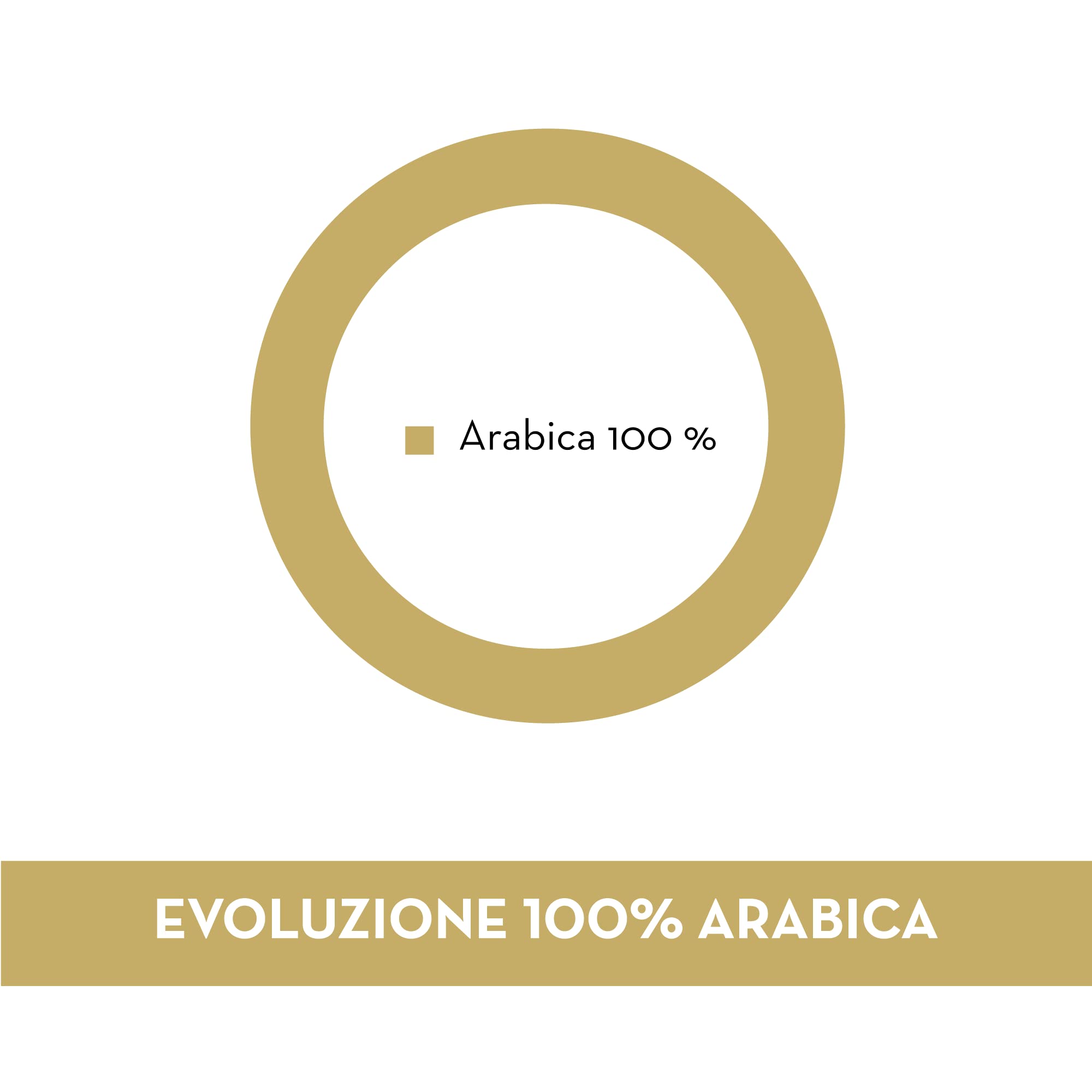 caff-musetti-miscela-evoluzione-100-arabica-60-capsule image 4