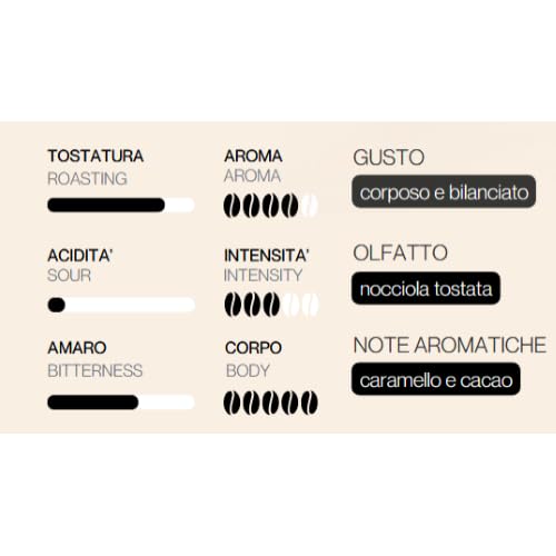 caff-motta-espresso-barista-170-cialde-ese-44mm-150-20-omaggio image 2
