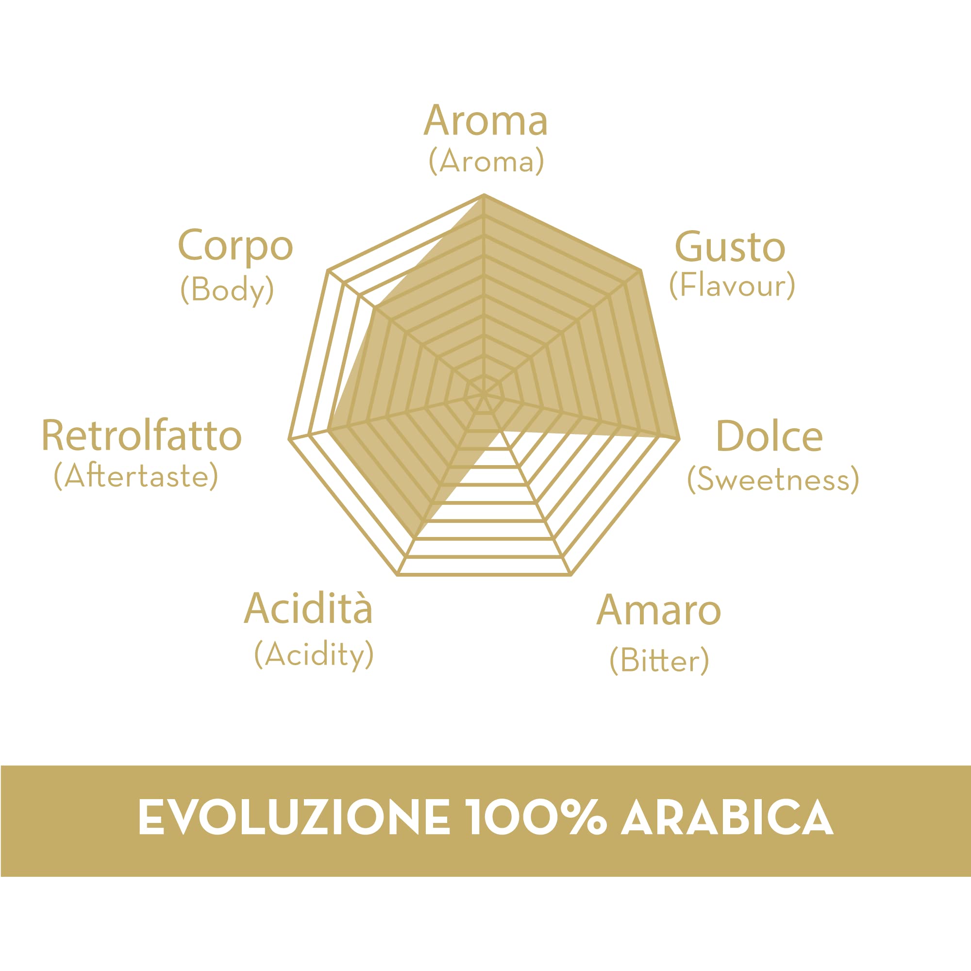 caff-musetti-miscela-evoluzione-100-arabica-60-capsule image 3