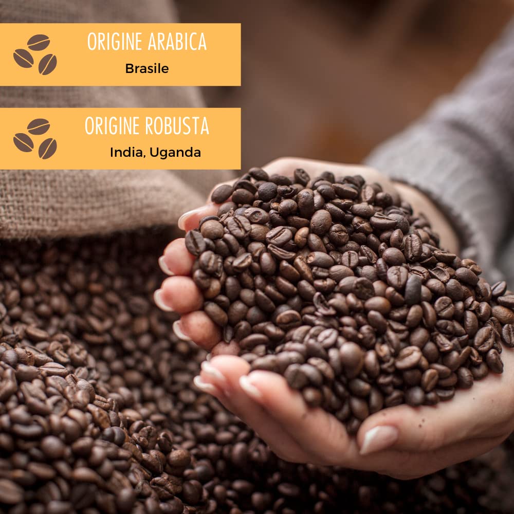 caff-motta-lounge-bar-espresso-classico-caff-in-grani-1-kg image 5